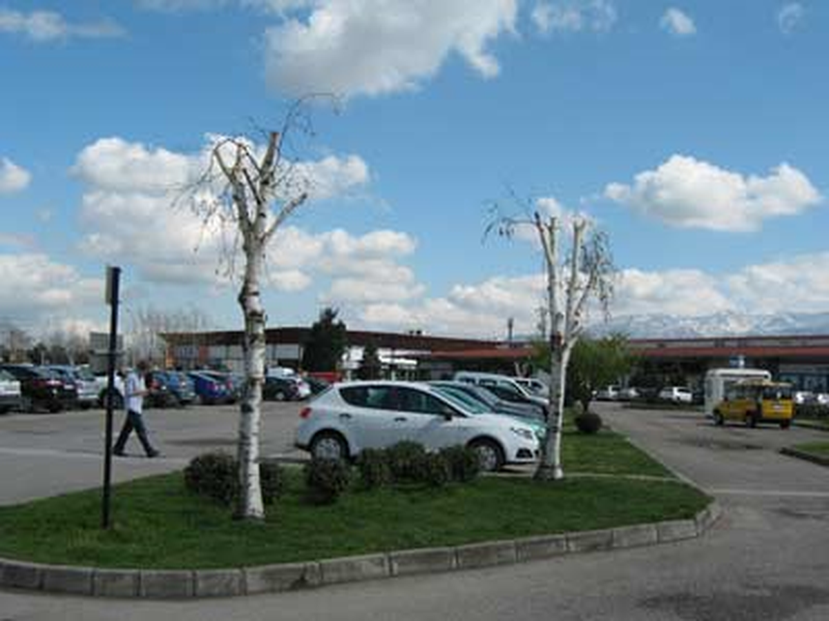 Uygunsuz Budamaya Büyükşehir\'den Ceza