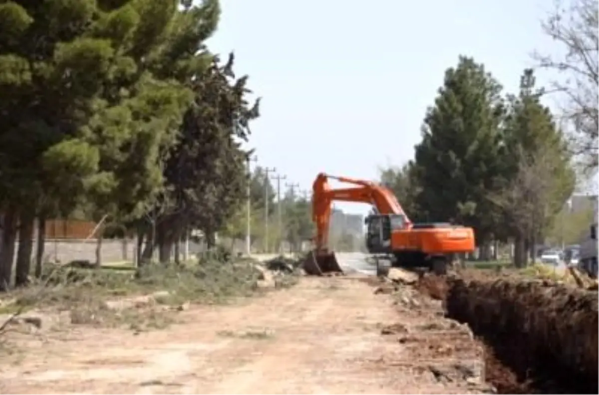 Ağaçlar Söküldü, Yol Genişletildi