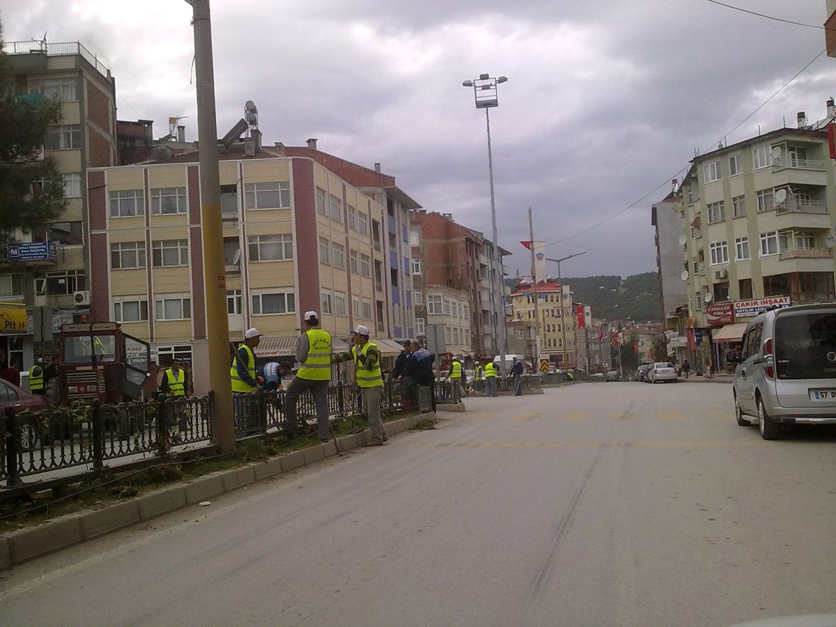 Boyabat\'ta Süs Bitkisi ve Ağaçlandırma Çalışmaları
