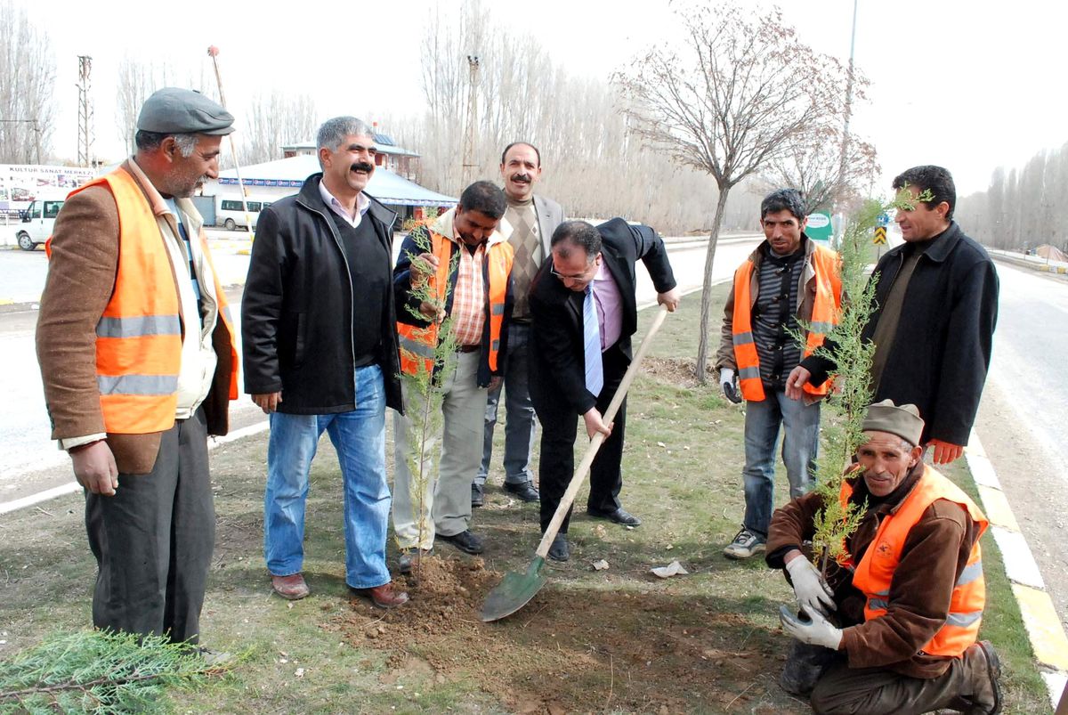Çelebibağı\'nda Ağaç Dikme Seferberliği