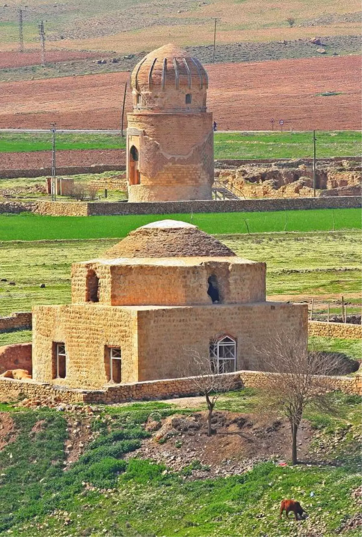 Hasankeyf'teki Zeynel Bey Kümbeti Taşınsın Talebi