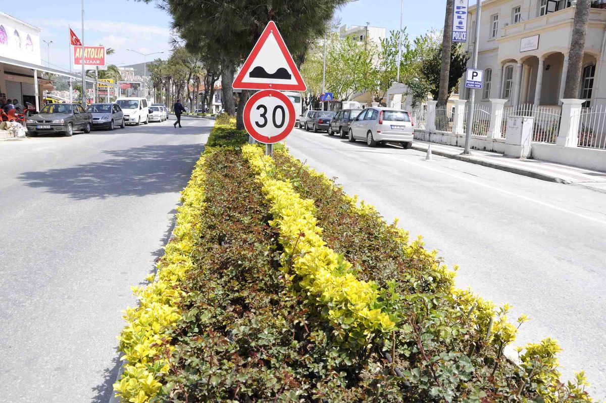 Kuşadası Çiçek Açtı