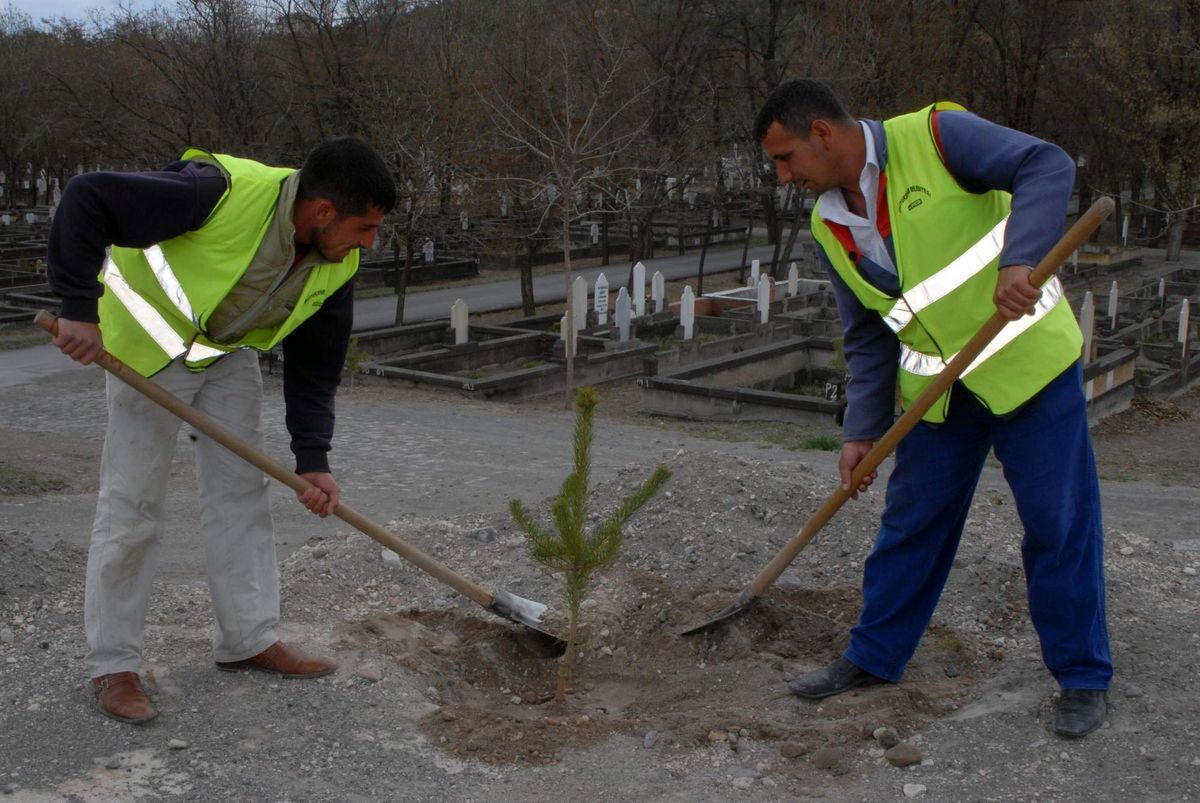 Mezarlıklarda Ağaçlandırma Seferberliği