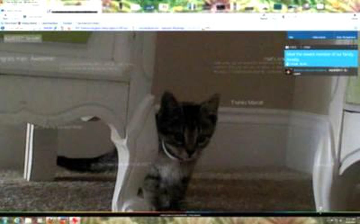 Microsoft\'tan Facebook Tabanlı Özel Site!