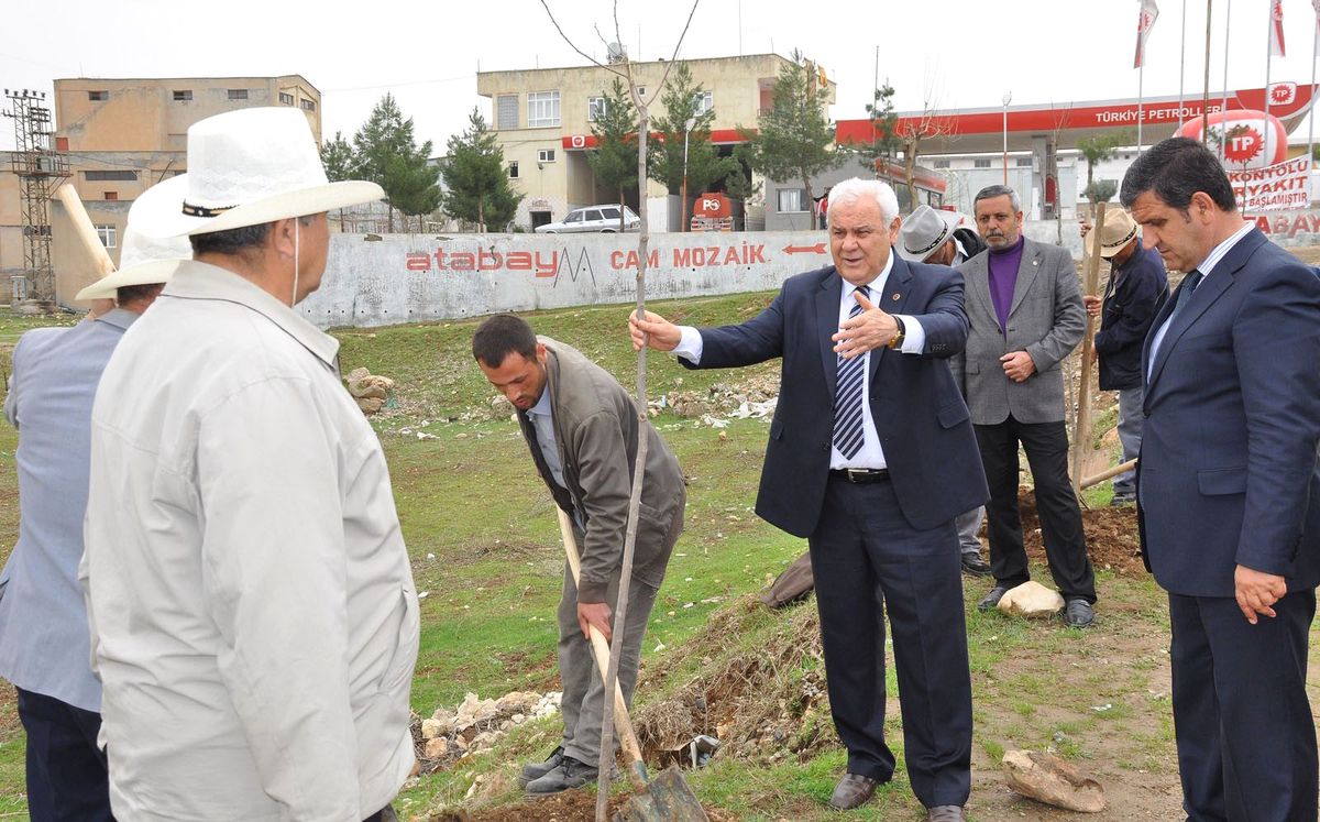 Siirt Valisi Musa Çolak İşçilerle Birlikte Fidan Dikti
