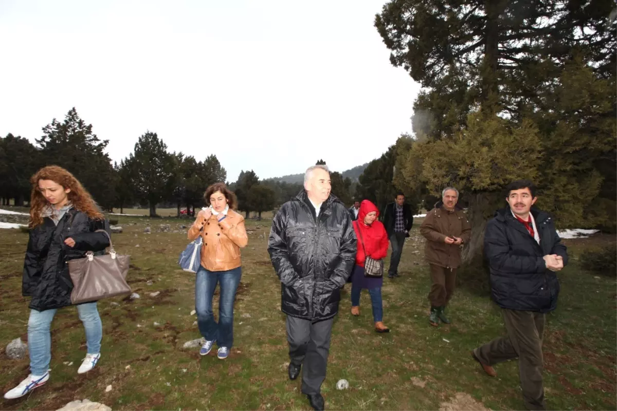 Teleferik İçin İncelemeler Sürüyor