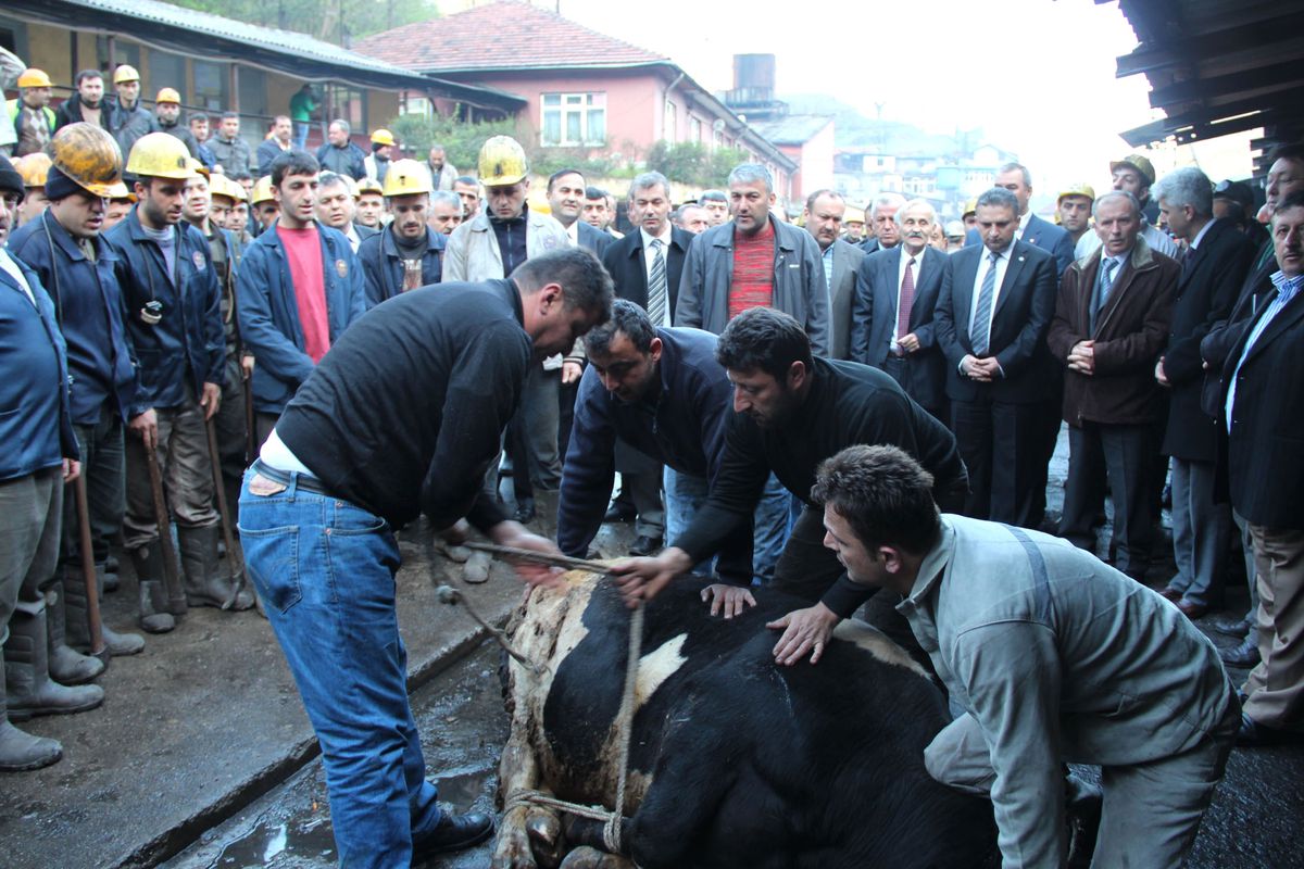 Ttk Karadon Müessesesi Gelik İşletmesi'nde 3 Üretim Panosu İşletmeye Alındı