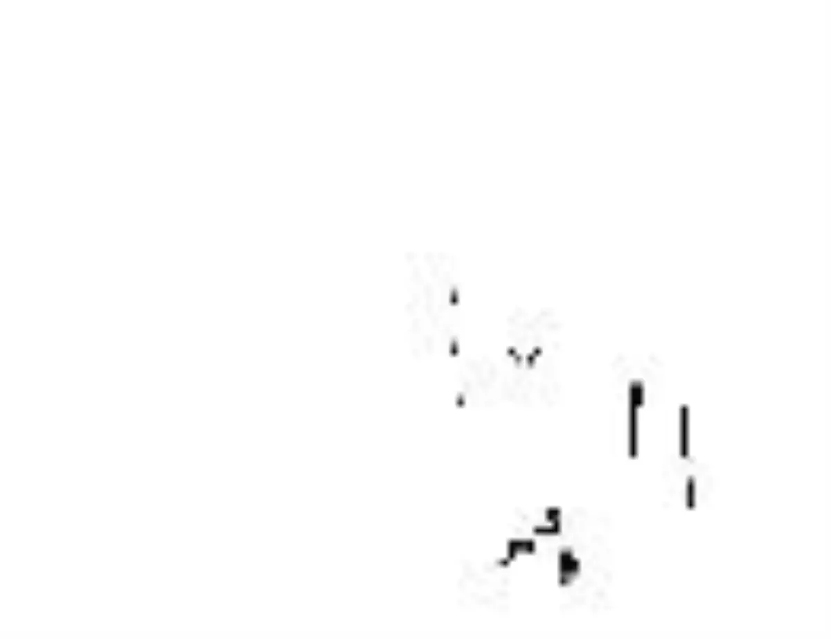 Ttnet Genel Müdürü Yılmaz: 2020\'de İletişimin % 90\'ı İnternetten Yapılacak