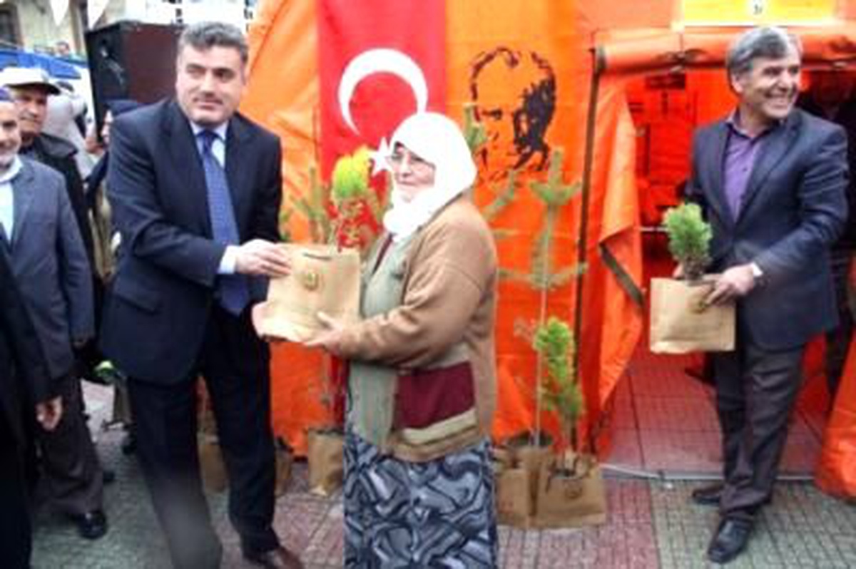 Vatandaşlar Fidan Kapma Yarışına Girdiler