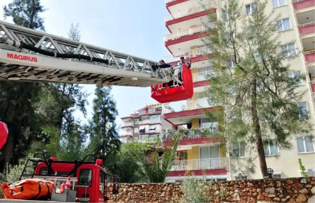 Ağaçta Mahsur Kalan Kediyi İtfaiye Kurtardı