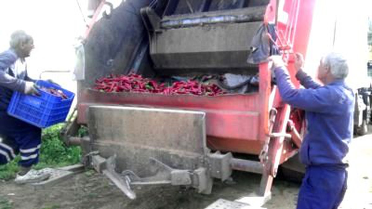 İlaç Kalıntısı Bulunan 2 Ton Biber İmha Edildi