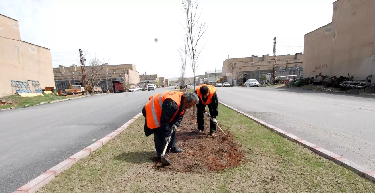 Kılıçözü Sanayi Sitesinde Orta Refüjlar Yeşillendiriliyor