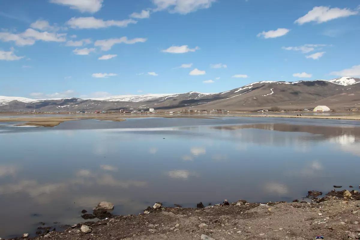 Kura Nehri Taştı