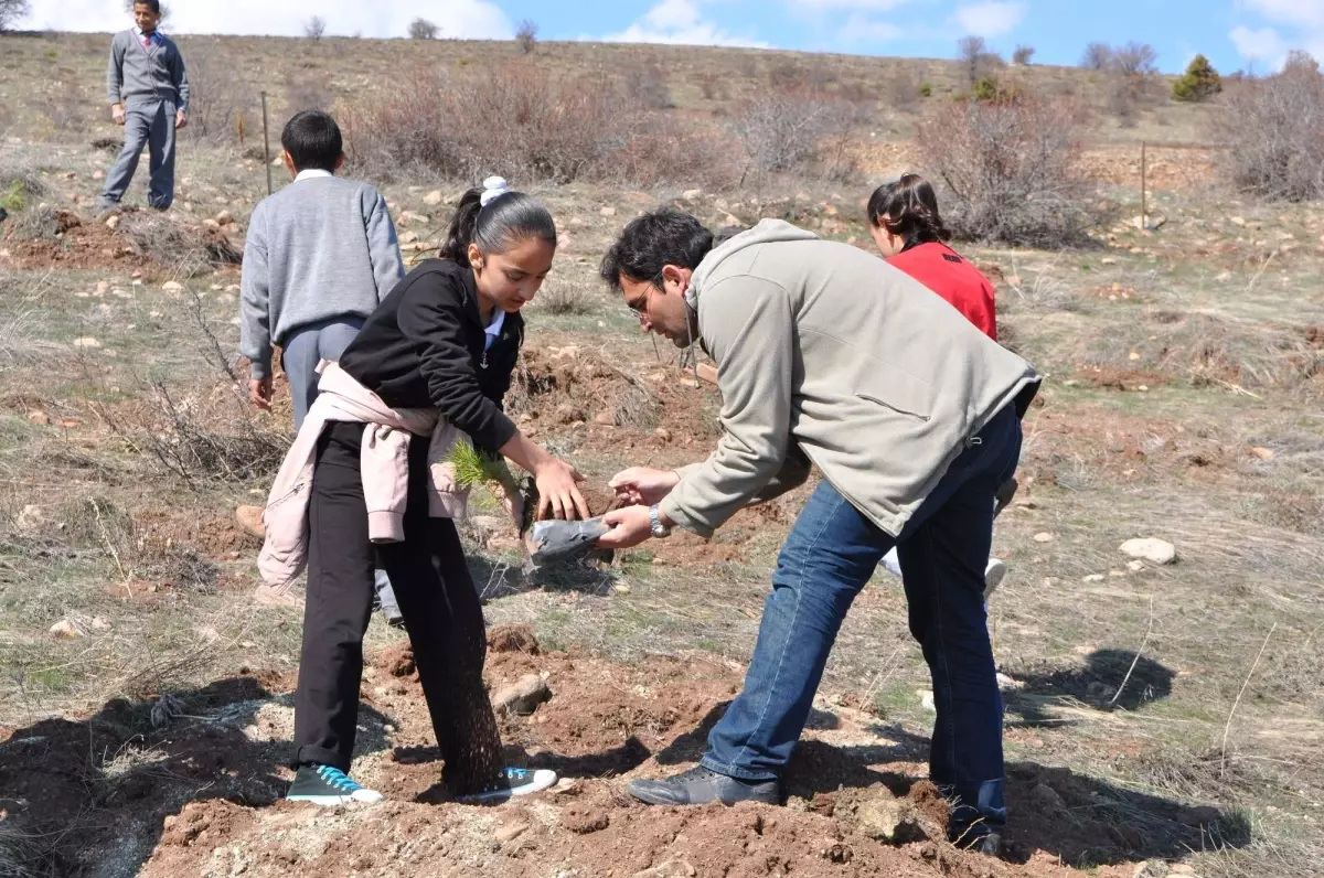 Öğrenciler Ağaç Dikmeyi Öğrendi