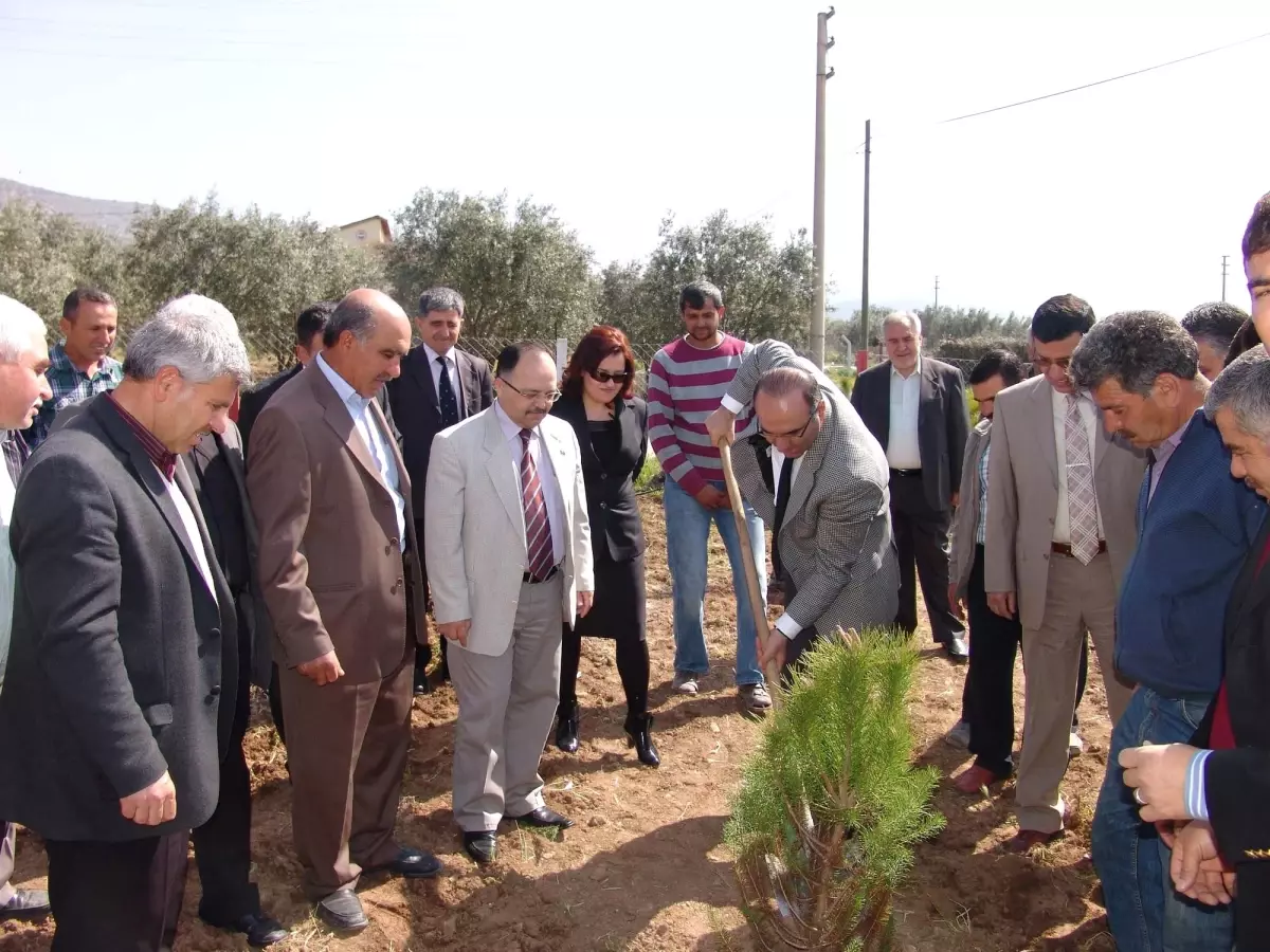 Sarıçalı Köyünde Fidan Dikim Etkinliği Düzenlendi