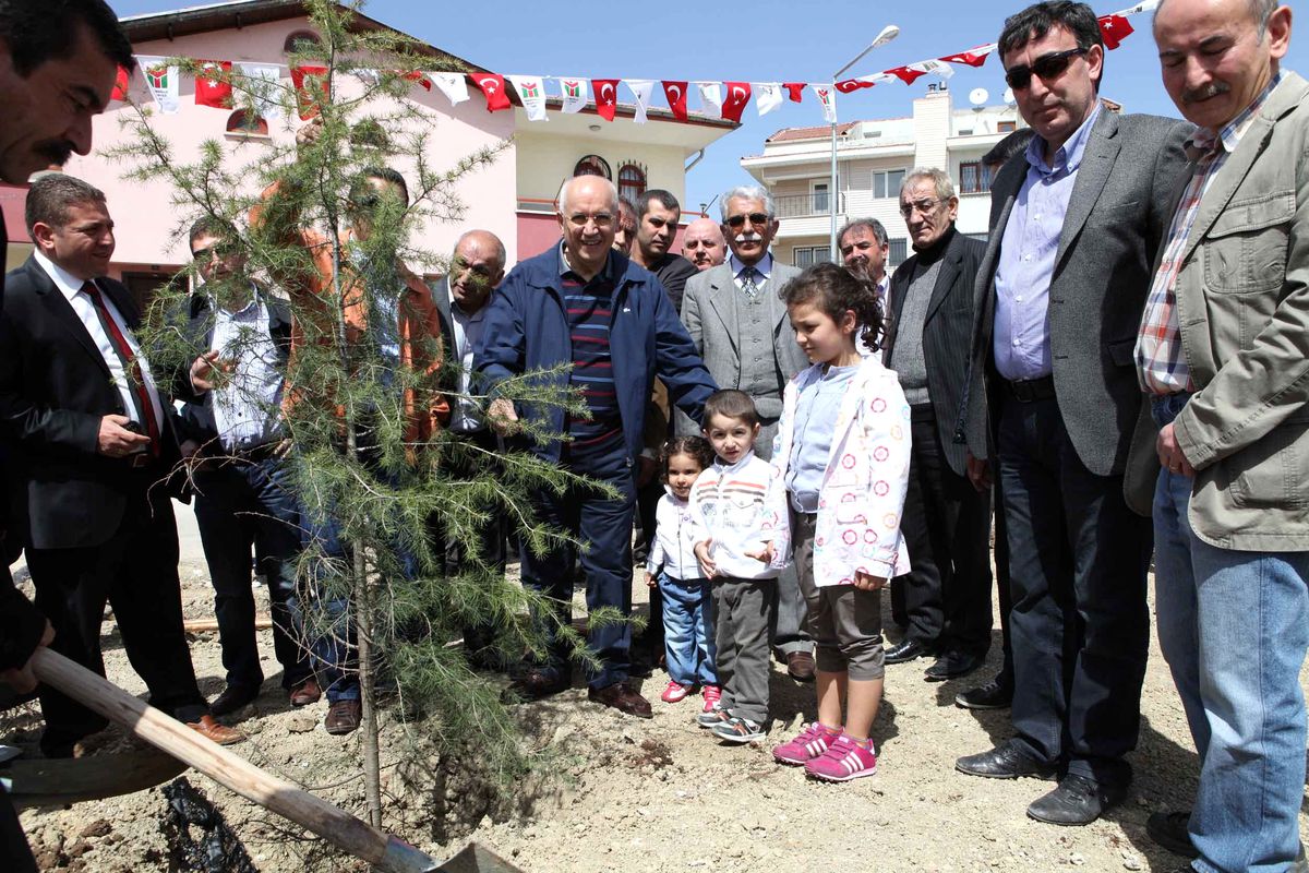 Yenimahalle'de Van Şehitlerine Hatıra Ormanı