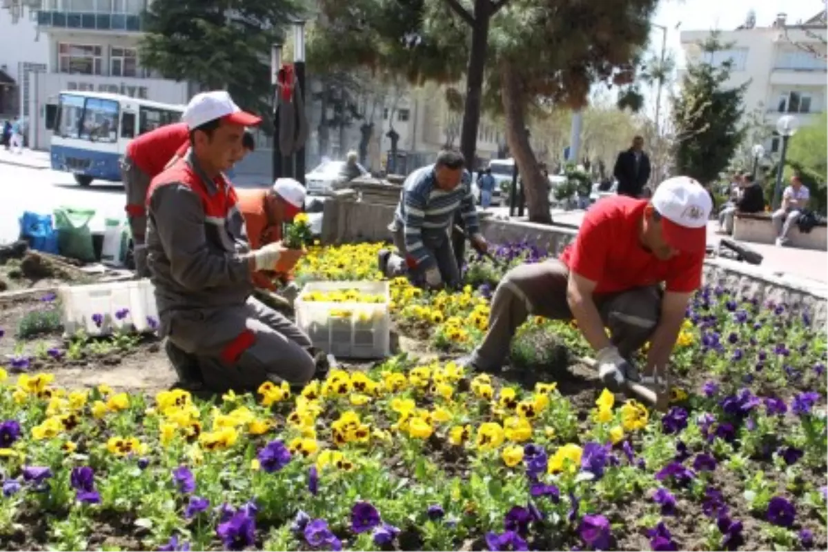 Burdur Menekşe Açtı