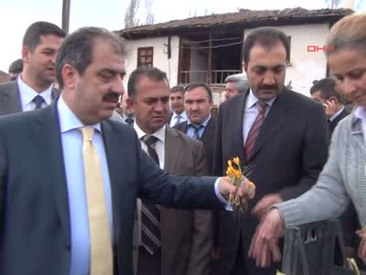 Çankırı'da Coşkulu Çiğdem Kutlaması