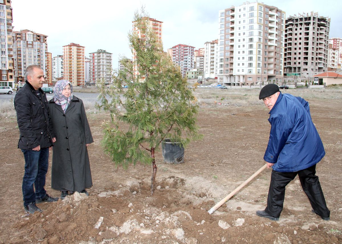 Kutlu Doğum İçin Fidan Dikildi