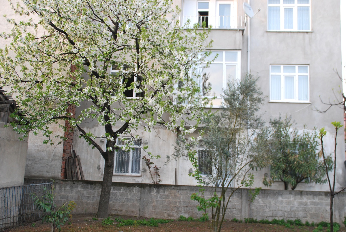 Pencereden Düşen 14 Yaşındaki Kız Hastanelik Oldu