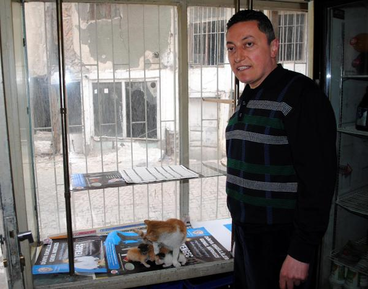 Sokak Kedisi ve 4 Yavrusuna Mahalle Bakkalı Sahip Çıktı