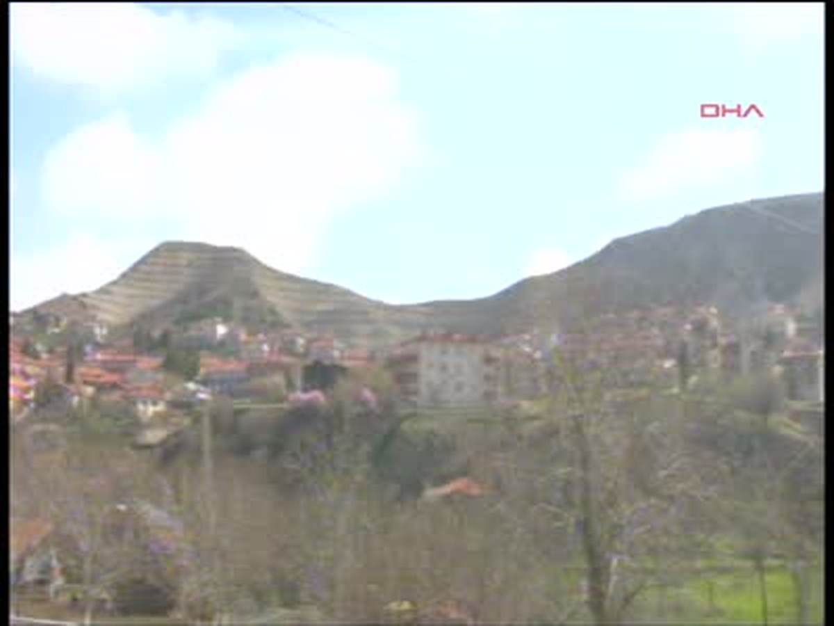 Beypazarı Sivri Tepe Yeşilleniyor