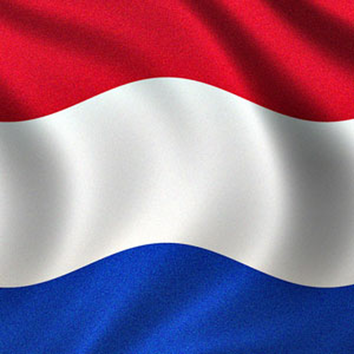 Türk Özel Sektörü'nün Hollanda Çıkarması
