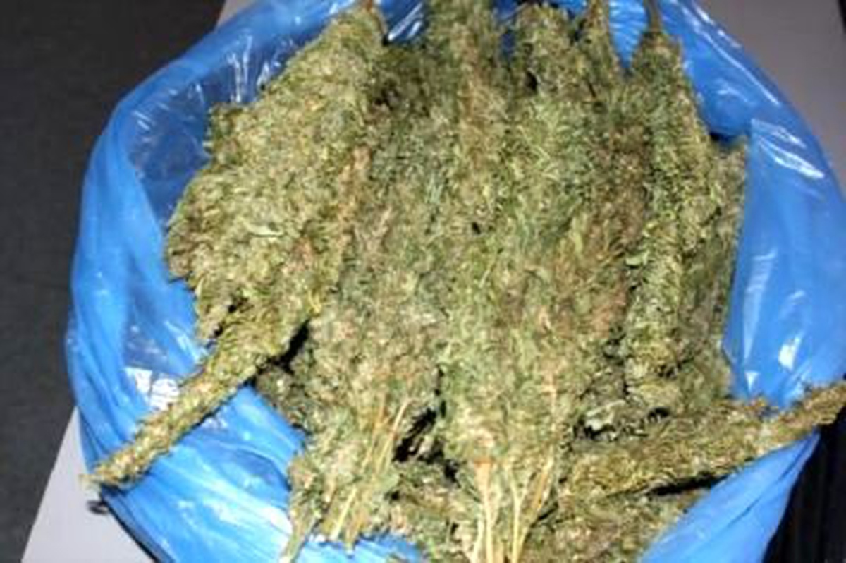 Adıyaman'da 51 Kilo Esrar, 3 Tutuklama