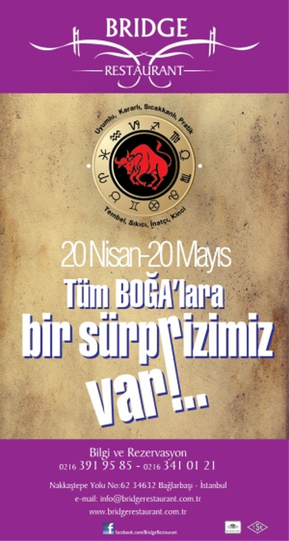 Boğazına Düşkün Boğa\'lara Brıdge\'in Bir Sürprizi Var

