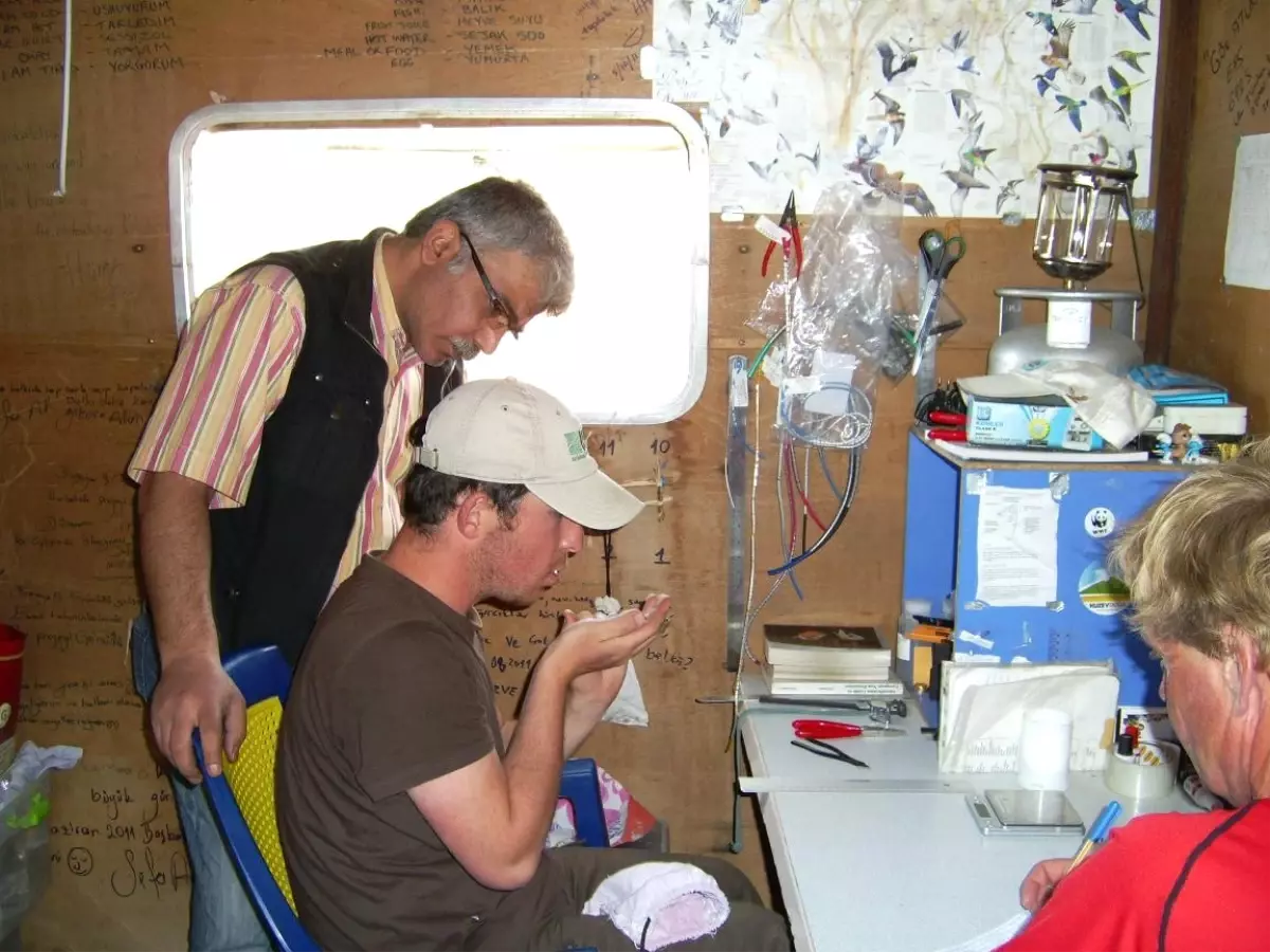 Iğdır Kuş Halkalanma