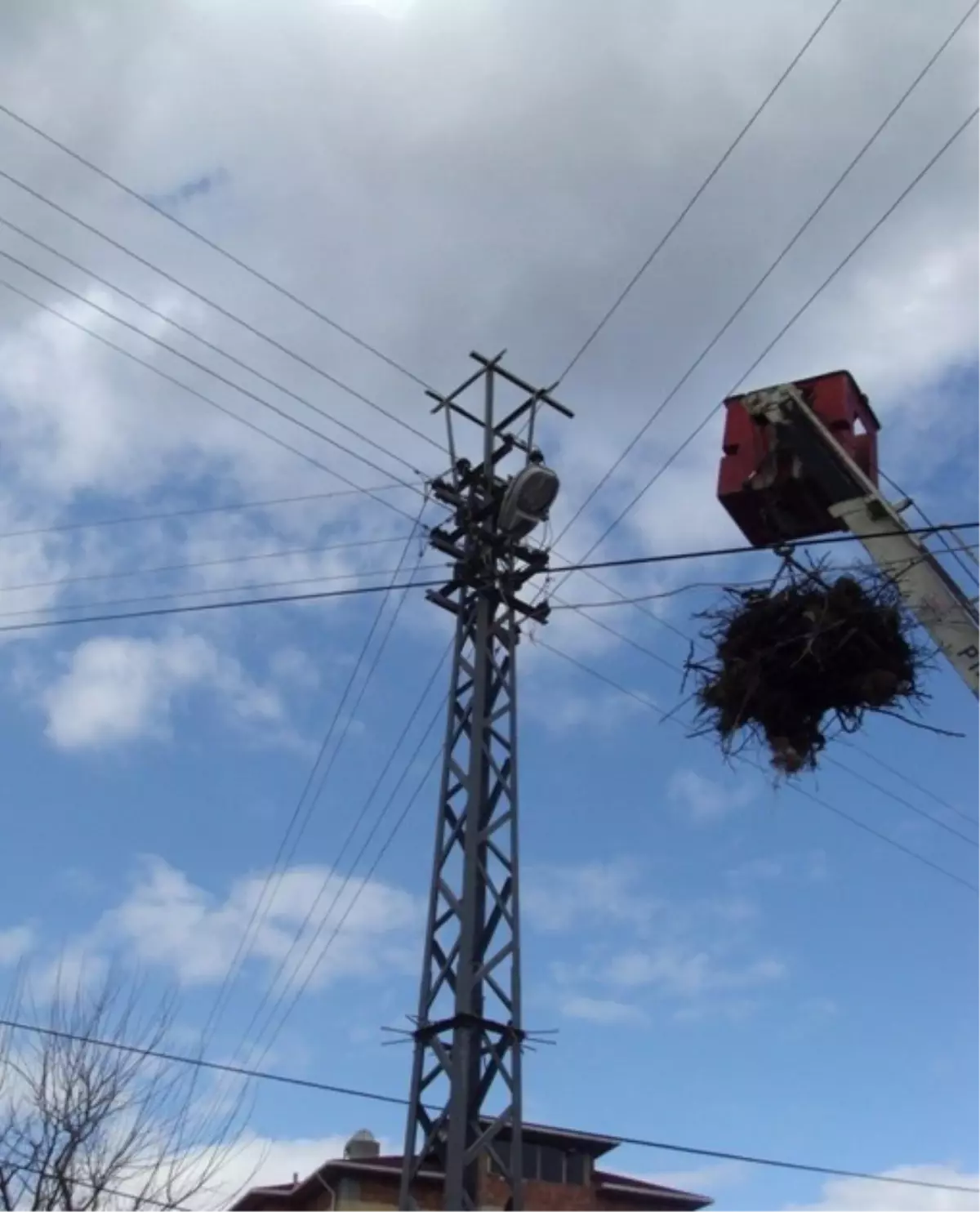 Leylekler İçin Elektrik Direklerine 'Özel Yuva'