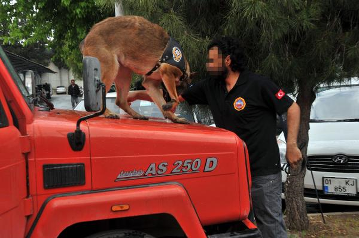 Özel Eğitimli Köpek Asi, 63 Kilo Eroini Buldu