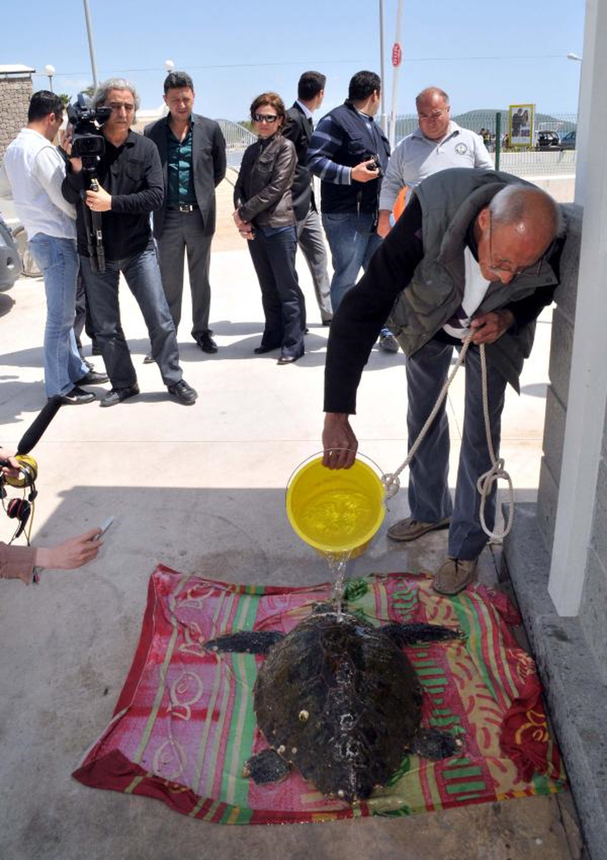 Sürat Teknesi Çarpan Caretta Caretta Yaralandı