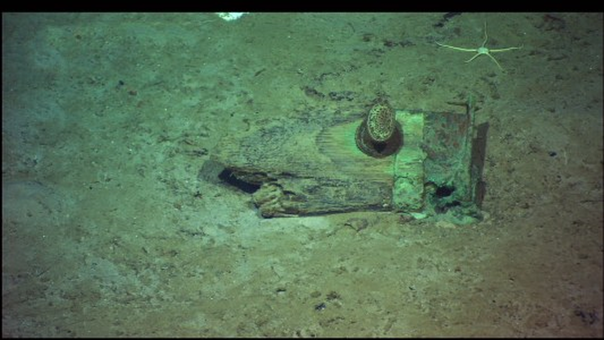 Titanic\'e Dalmak İster misiniz?