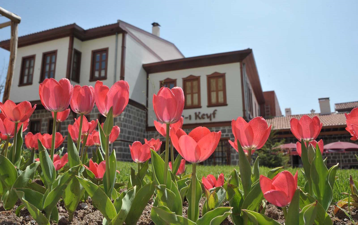Altındağ Lalelerle Süslendi