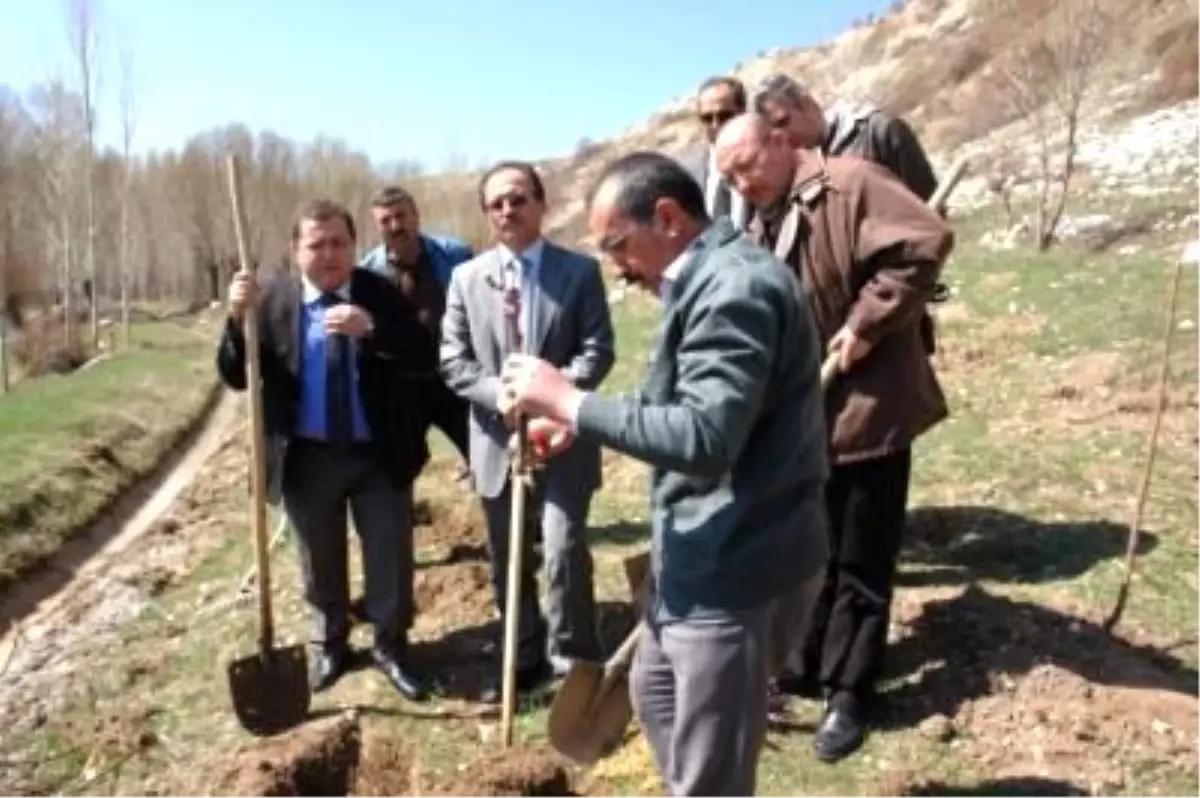 'Bağcılık Geliştirme Projesi'