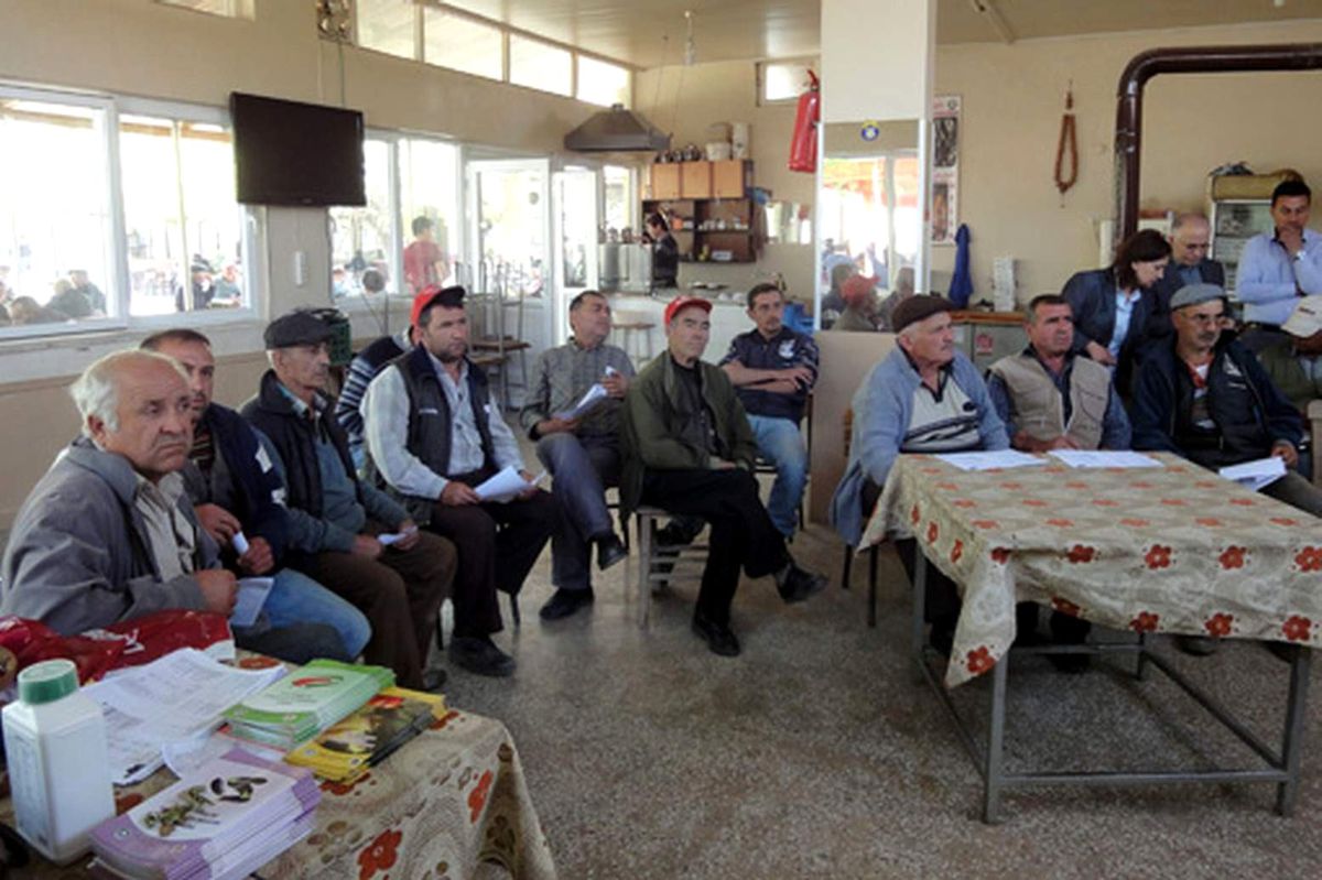 Dalama ve Çiftlikli Domates Üreticisine Mildiyö Eğitimi