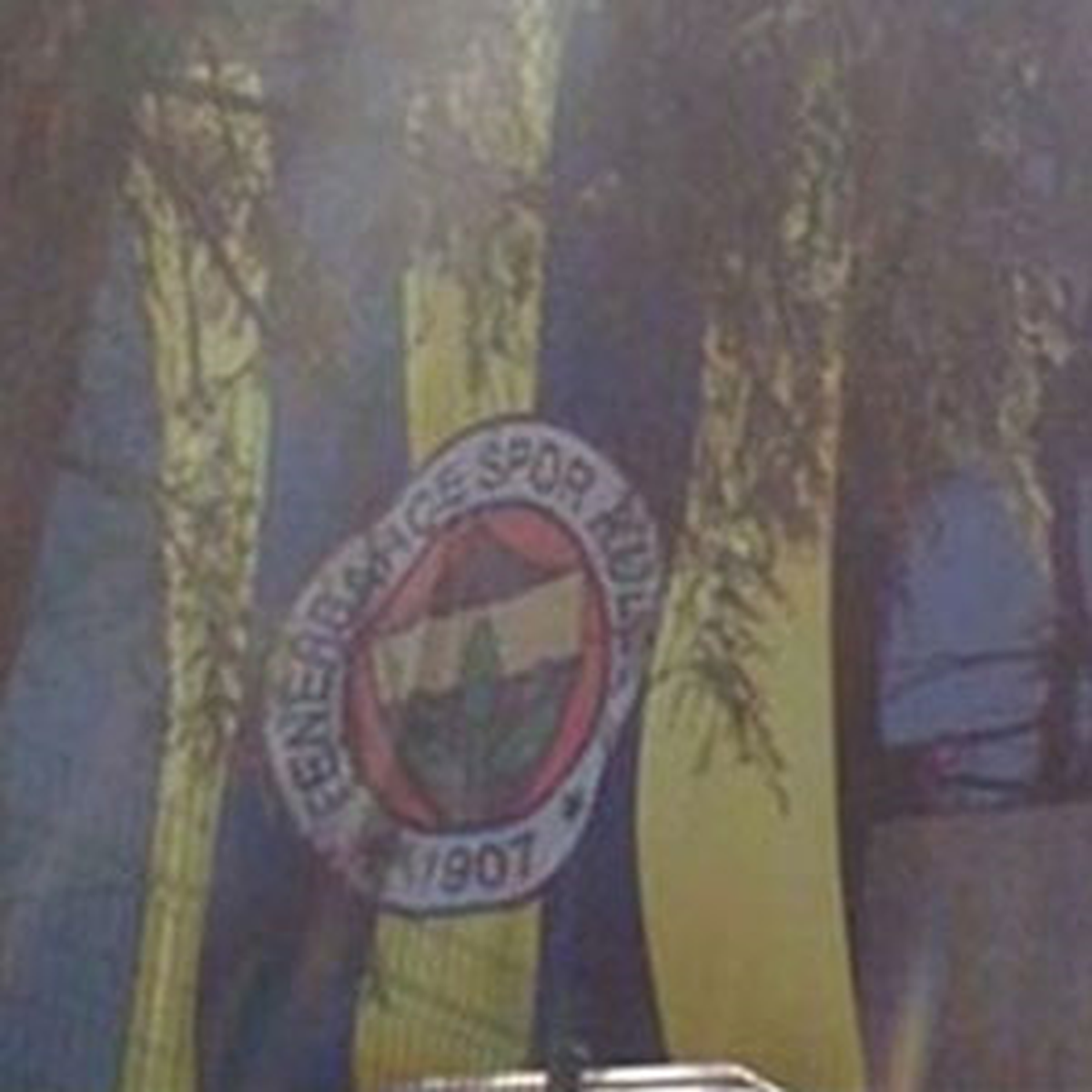 Fenerbahçe Bayrağı Astığı İçin Tehdit Edildi, Şikayetçi Oldu