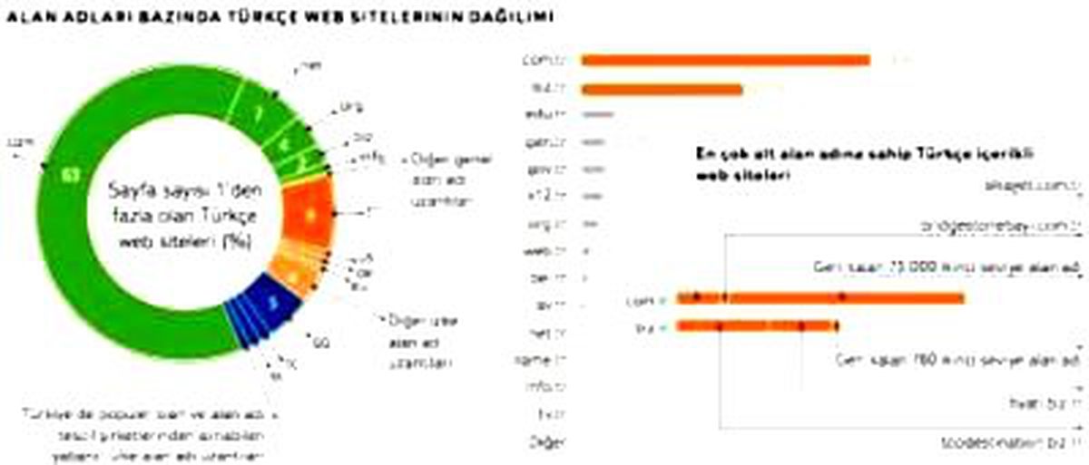 Hangi Alan Adlarını Kullanıyoruz?