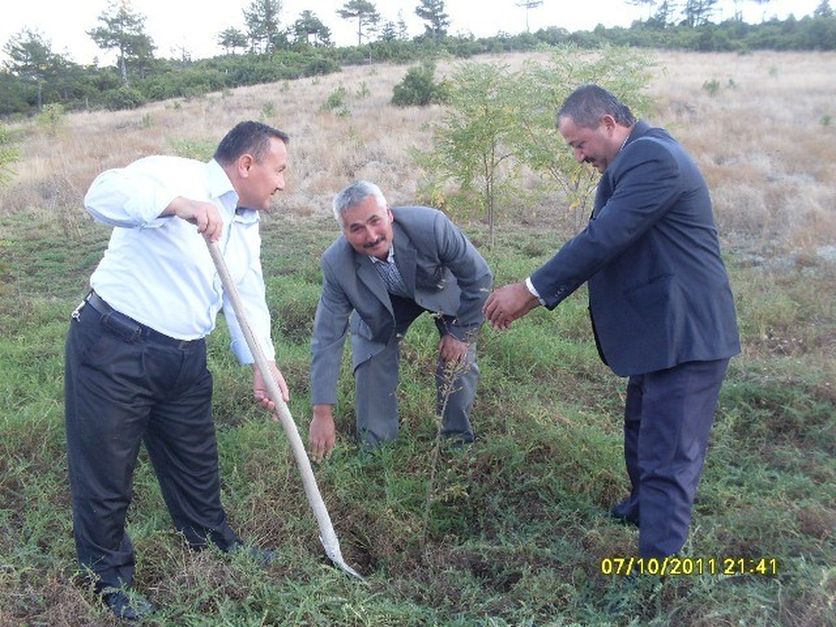 Harmancıklı İmamlar Fidan Dikti