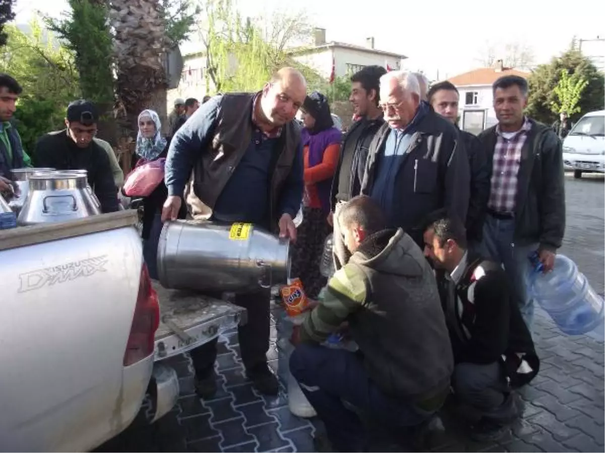 Her Gün Bedava 600 Litre Süt Dağıtıyor
