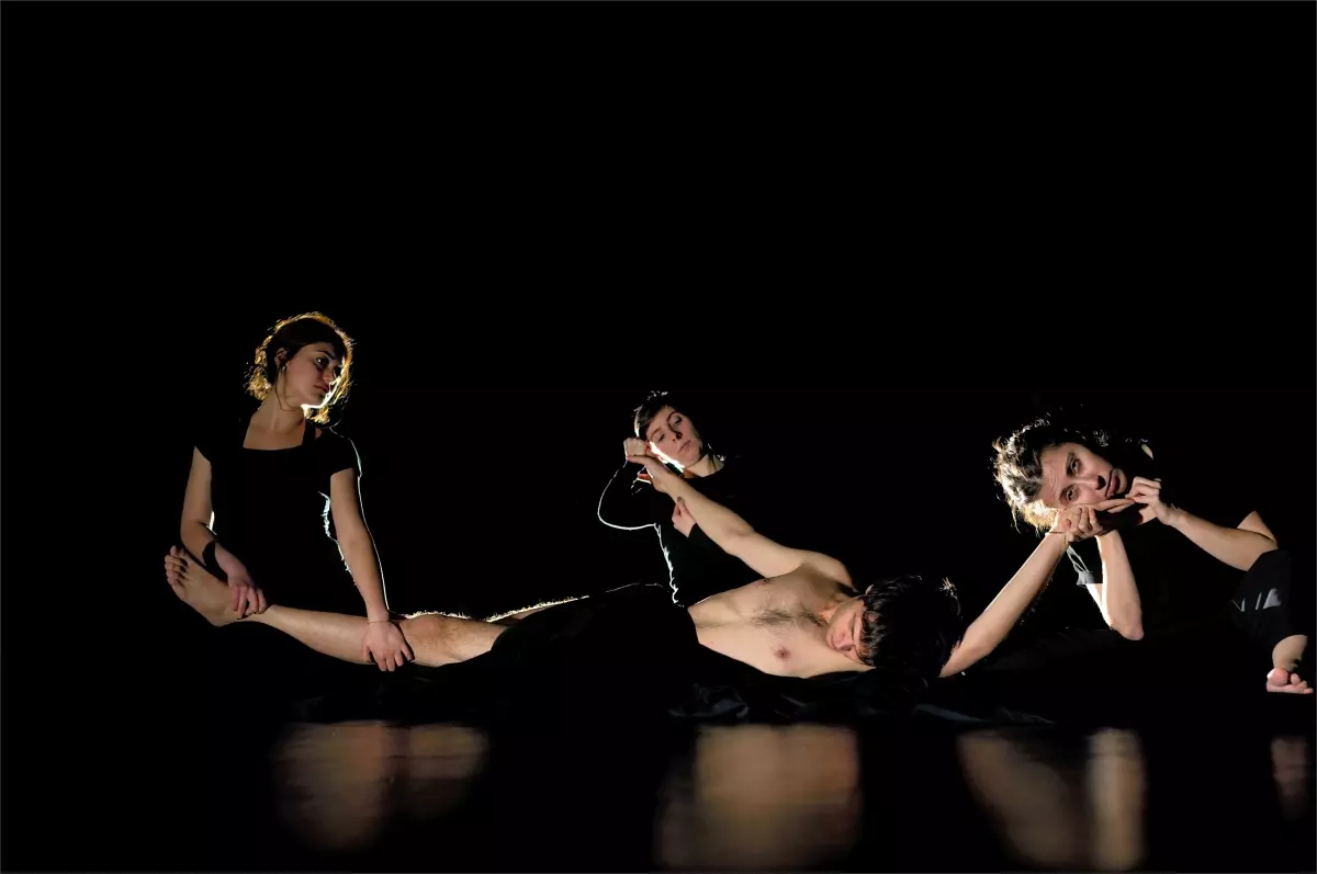 Fransız Kültür Merkezi'nde Performans