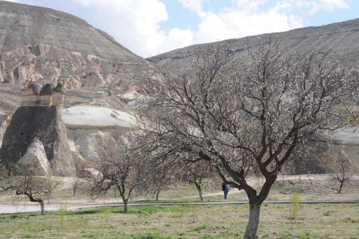 Kapadokya\'da Bahar Mevsimi
