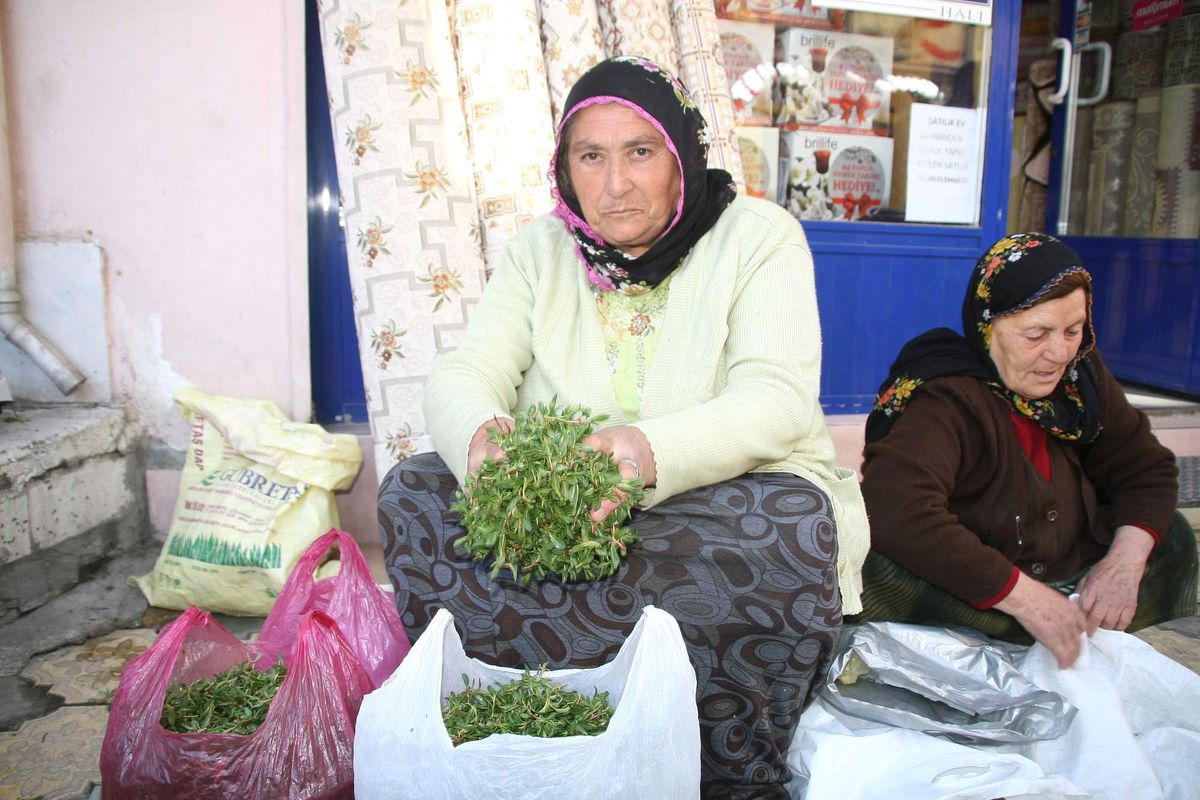 Madımak Yozgat\'ta Tezgahlardaki Yerini Aldı