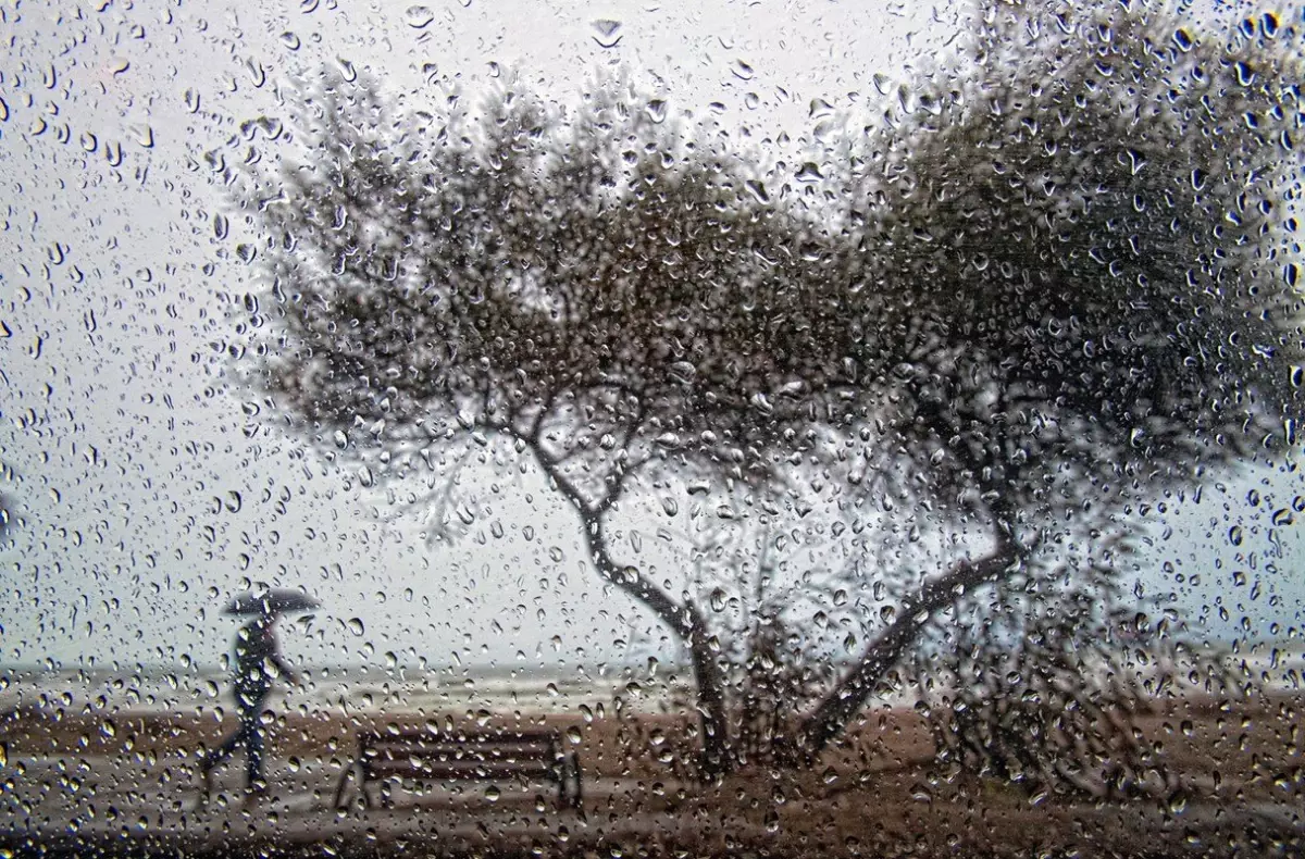 Samsun\'da Kış Yarışma Birincisi Fokus\'tan