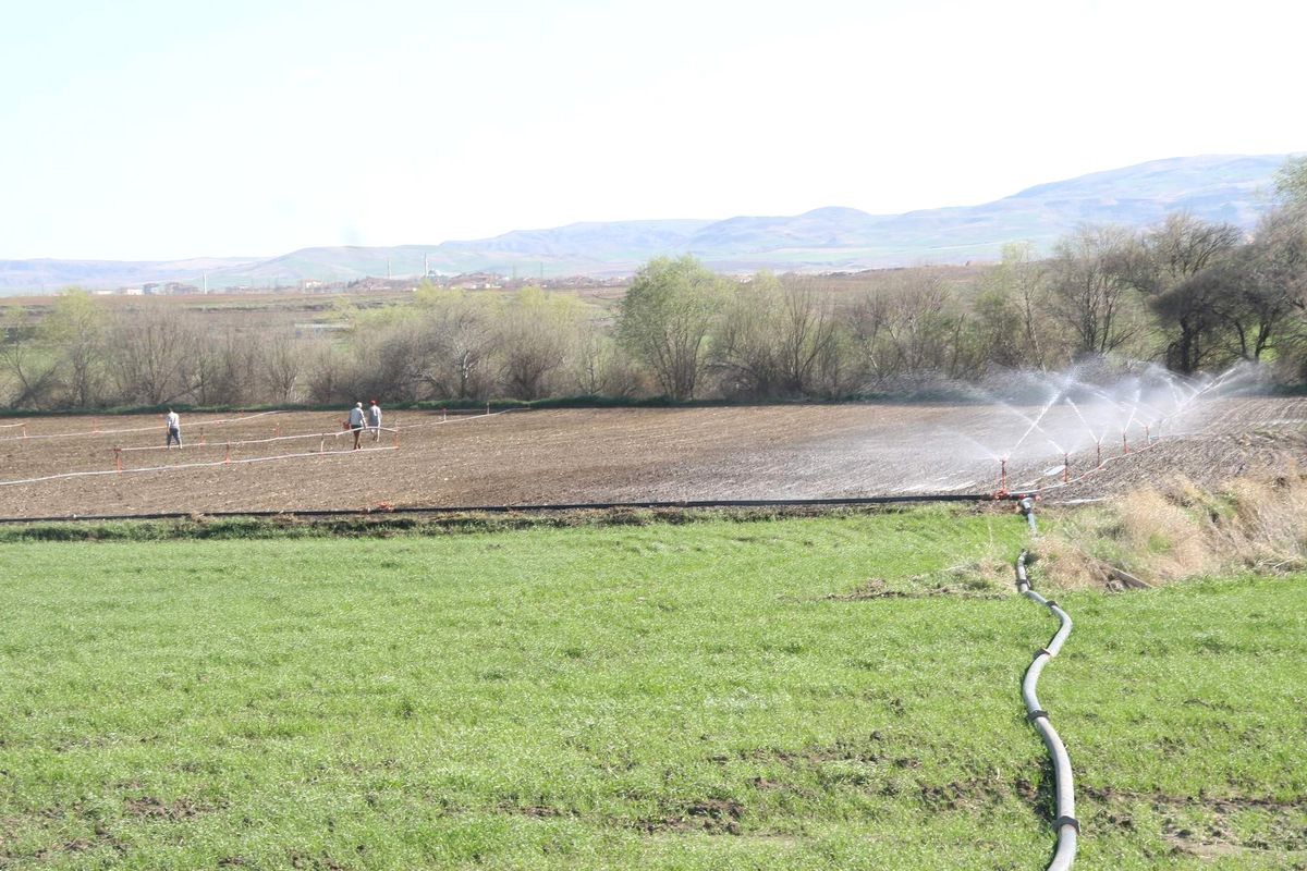Yozgat\'ta Çiftçi Bu Yıl Soğan Ekimini Azalttı