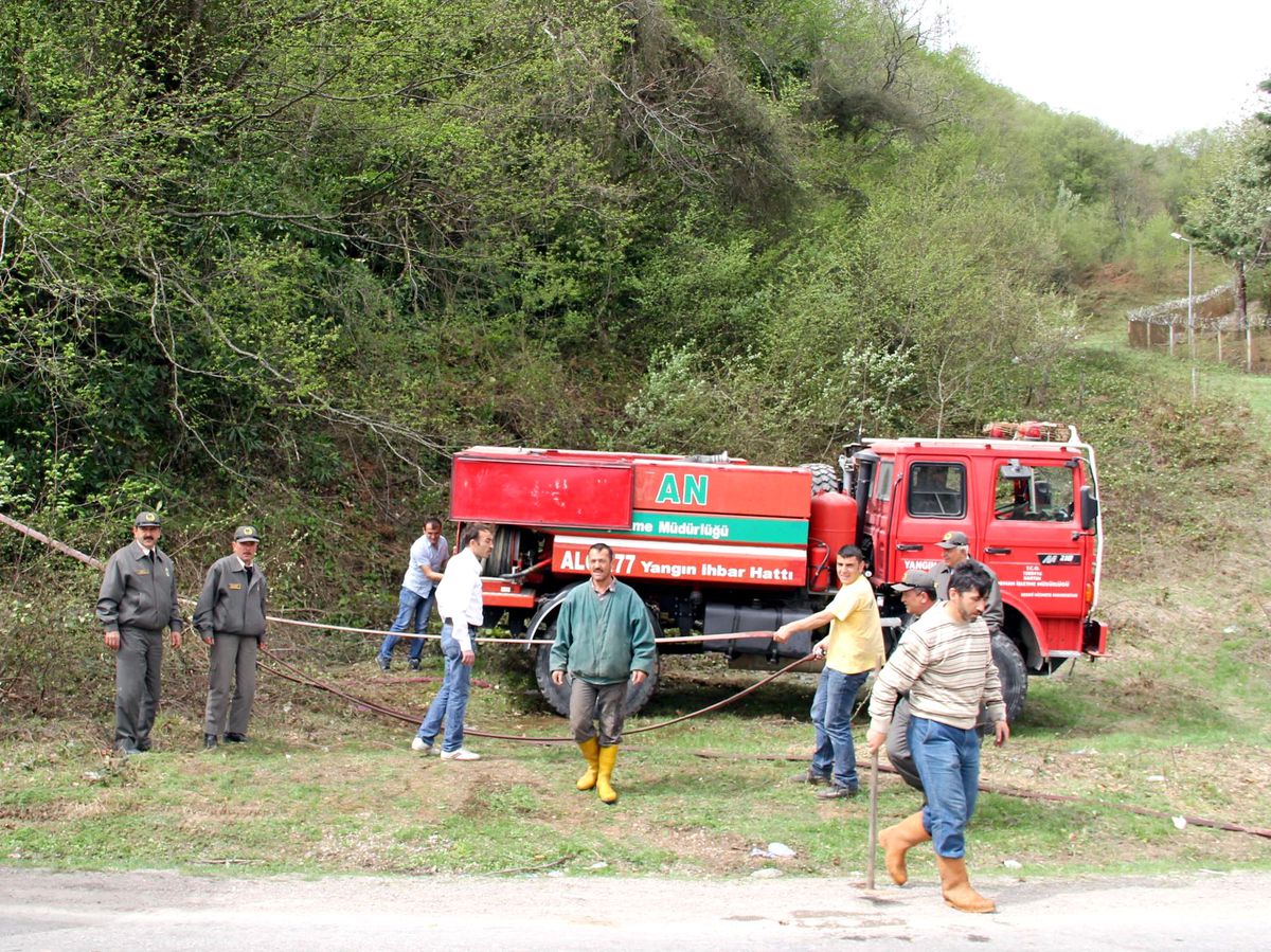 Bartın'da Orman Yangını