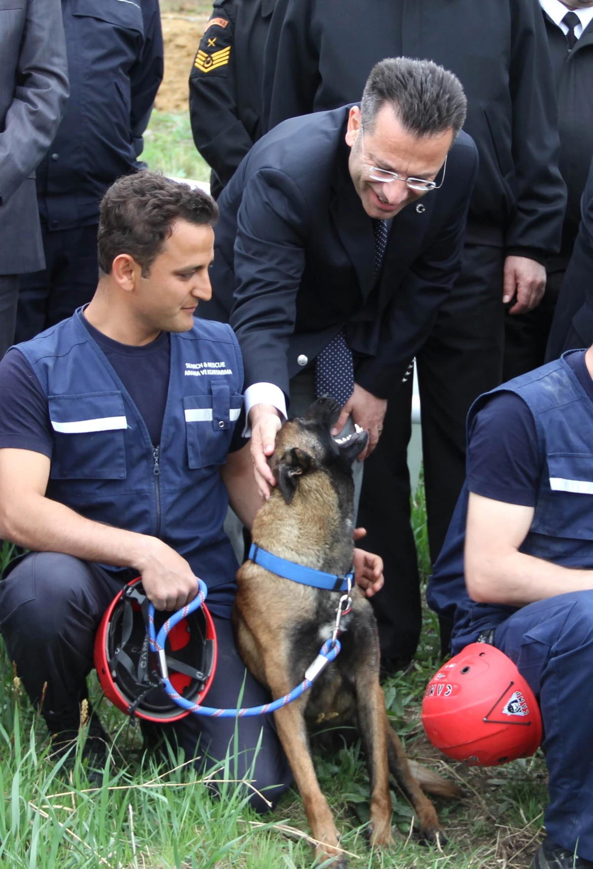 Bu Köpekler Hayat Kurtaracak!