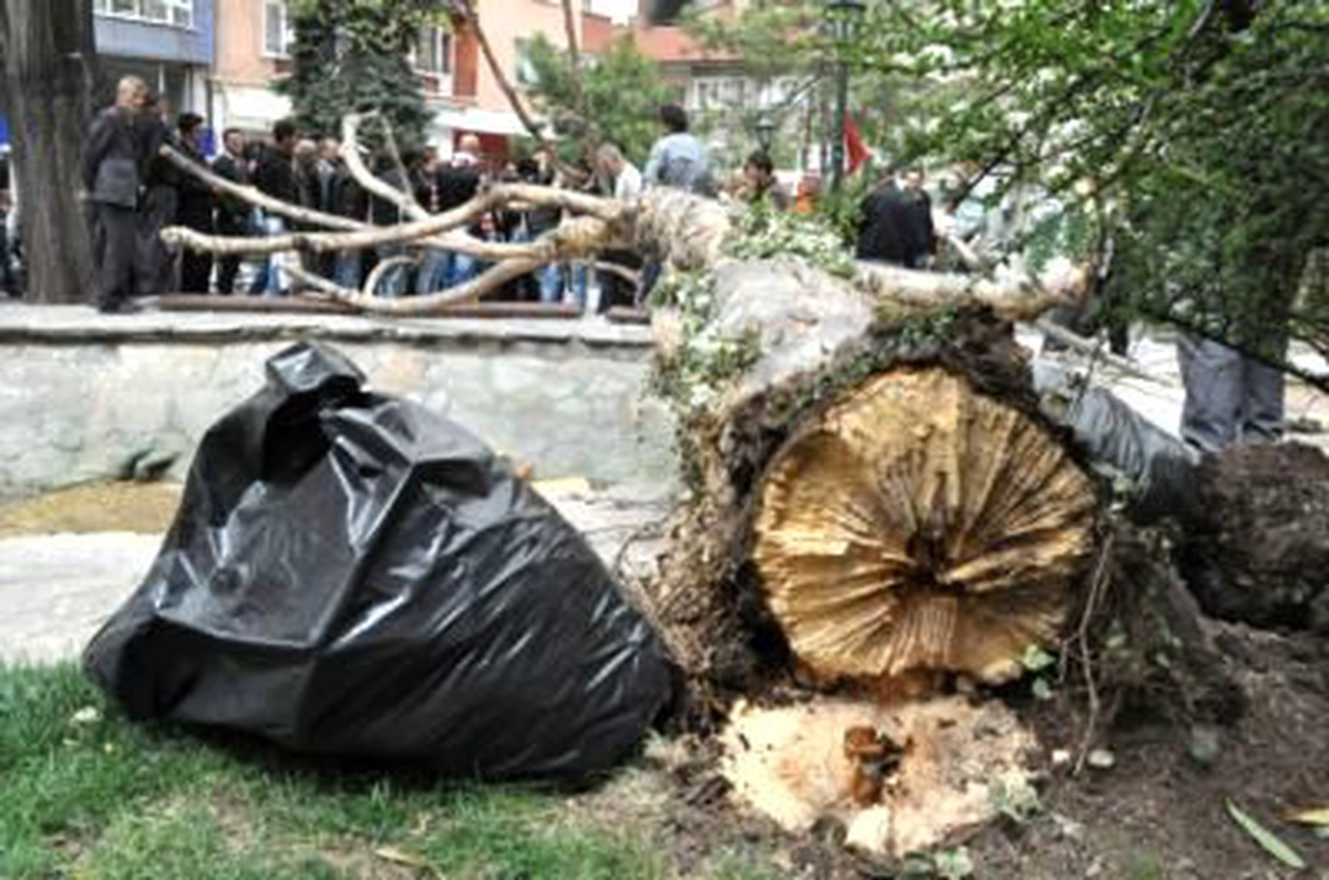 Fırtına Ağaçları Kökünden Söktü, Çatıları Uçurdu
