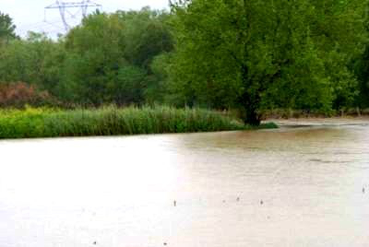 Gediz Nehri Taştı, Tarım Arazileri Sular Altında Kaldı